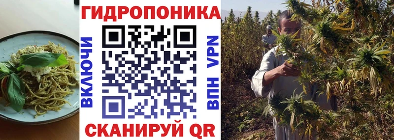 как найти закладки Сольвычегодск Печенье с ТГК конопля