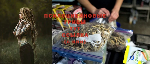 сатива Алексеевка